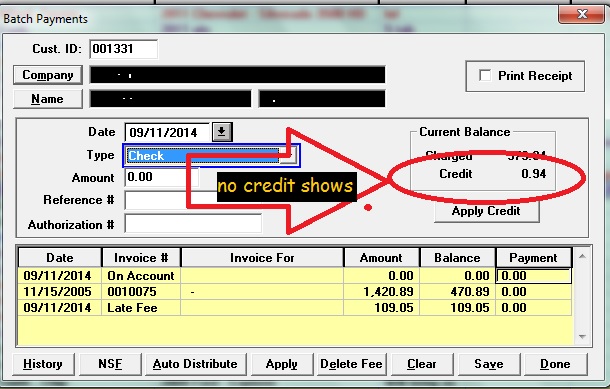 batch pay credit.jpg